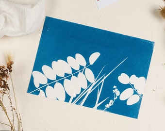 Original flower cyanotype - flower cyanotype print - photgrapmme