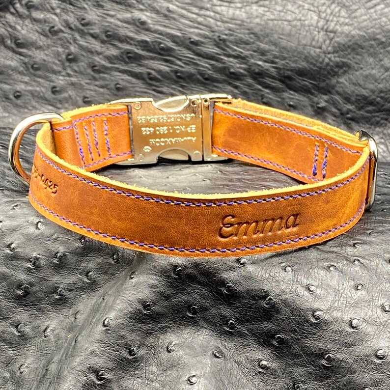 Designer Dog Collar Personalized Leather Dog Collar Luxury Dog Collar Personalized Leather Dog Collar Personalized in Horween Leathers