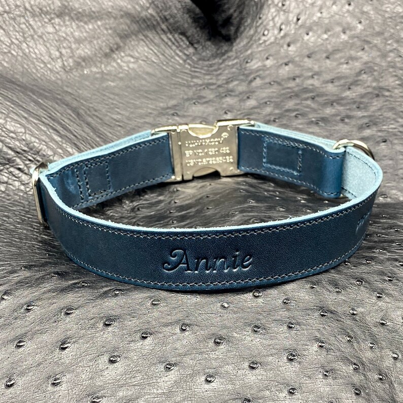 Designer Dog Collar Personalized Leather Dog Collar Luxury Dog Collar Personalized Leather Dog Collar Personalized in Horween Leathers