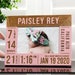 Baby Girl Birth Announcement Picture Frame, Personalized Baby Frame w/ Birth Stats, Nursery Decor, Newborn Gift 