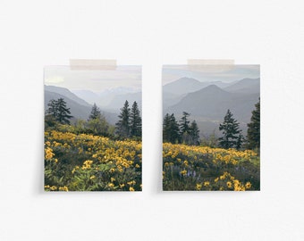 Meadow Set of 2, Landscape Wall Art, Home Wall Decor, Hiking Print, Digital Download