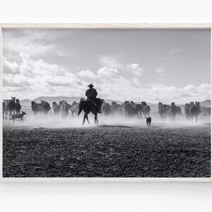 May include: A black and white photograph of a cowboy riding a horse through a field of horses. The cowboy is wearing a hat and is leading a herd of horses. The photo is taken from a distance, and the horses are all running in the same direction.