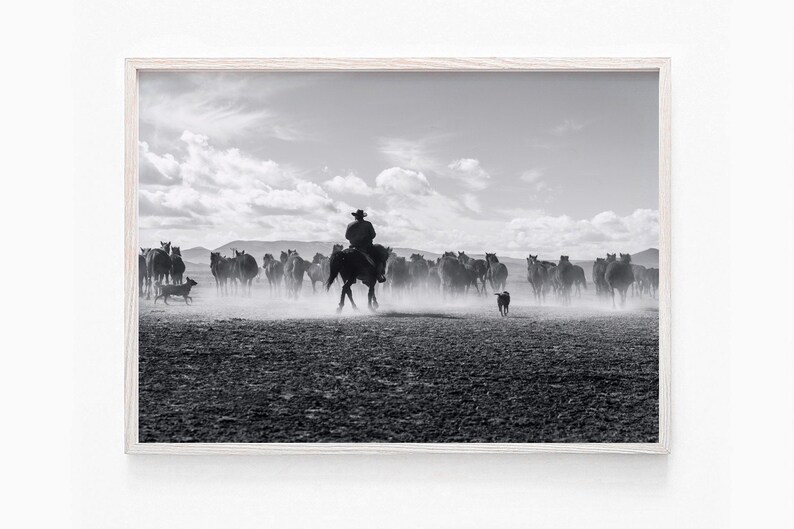 May include: A black and white photograph of a cowboy riding a horse through a field of horses. The cowboy is wearing a hat and is leading a herd of horses. The photo is taken from a distance, and the horses are all running in the same direction.