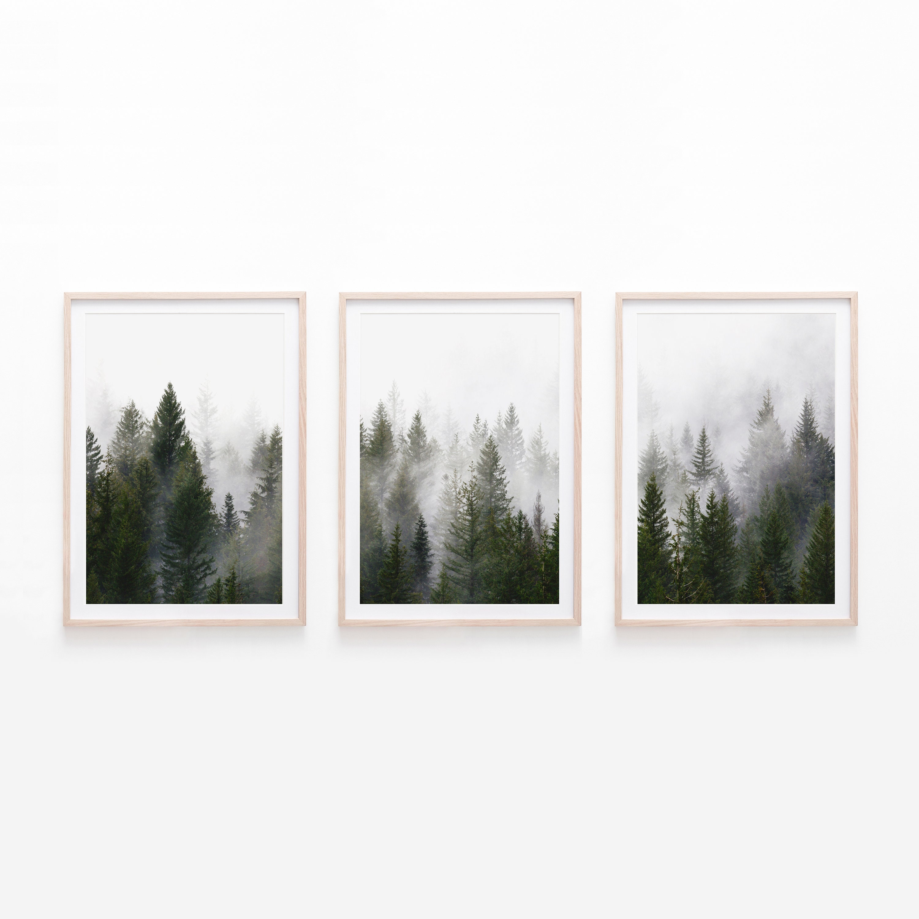 Foggy Pine Tree Forest Wall Art - Large Framed Hanging Canvas – Hangout Home
