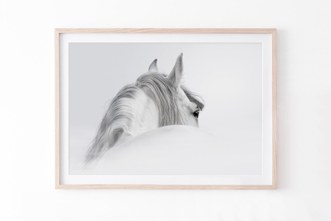 Horse Print, Animal Wall Art, Printable Large Horse Photography, Horse ...