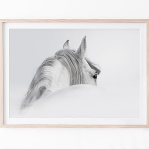 Horse Print, Animal Wall Art, Printable Large Horse Photography, Horse Poster, Digital Download Wall Art Print