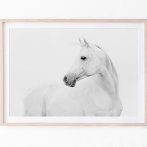 White Horse Wall Art, Icelandic Horse Print, Modern Farmhouse Decor, Wilderness Photography, Digital Download, Horse Lover Gift