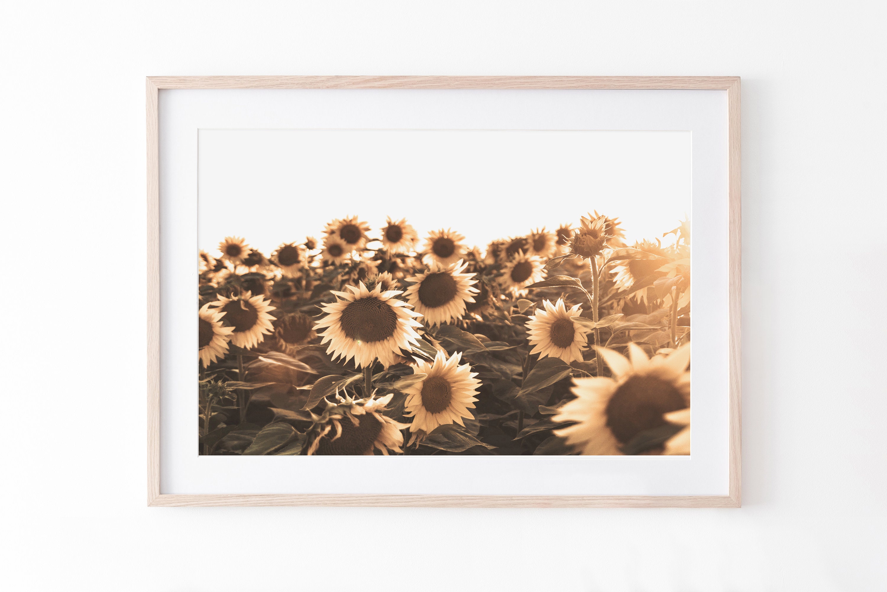 Sunflowers Wall Art Botanical Print Sunflowers Printable | Etsy
