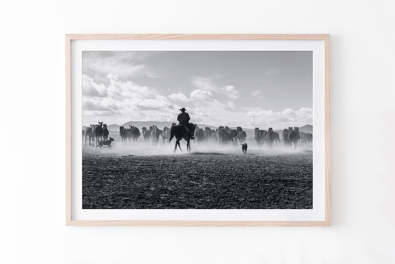 May include: A black and white photograph of a cowboy riding a horse through a field of running horses. The cowboy is wearing a hat and the horses are running in a cloud of dust.