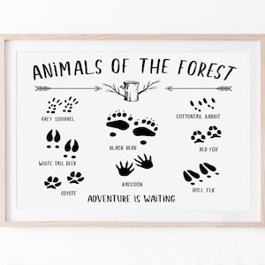 Impresión de huellas de animales, huellas de animales del bosque imprimibles, descarga de carteles de huellas de animales del bosque, decoración de signos de vida silvestre