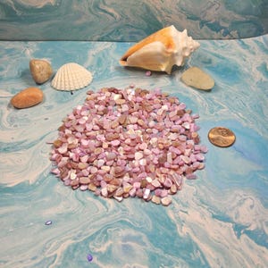 May include: A collection of decorative elements including a large seashell, small stones, a white scallop shell, and a pile of small, pink and tan pebbles. A penny is also included. The background is a blue and white marbled pattern.