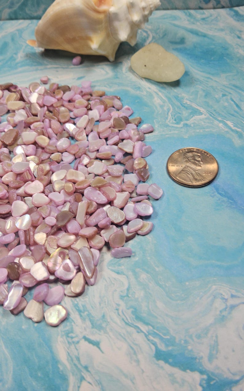 Chip Chip Shell Colorful Shell Pearl Chips: DIY Jewelry Crafts (3-5mm) - Etsy