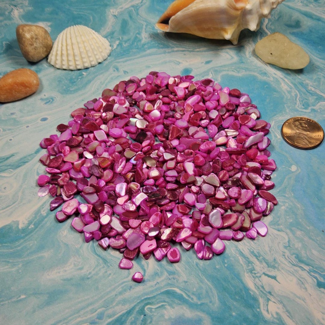 New Colorful Shell Pearl Chips , Freshwater Shell Chips, Small Sea ...