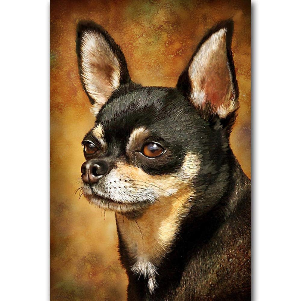 5d Diy Diamond Painting Chihuahua Full Square Round Diamond - Etsy