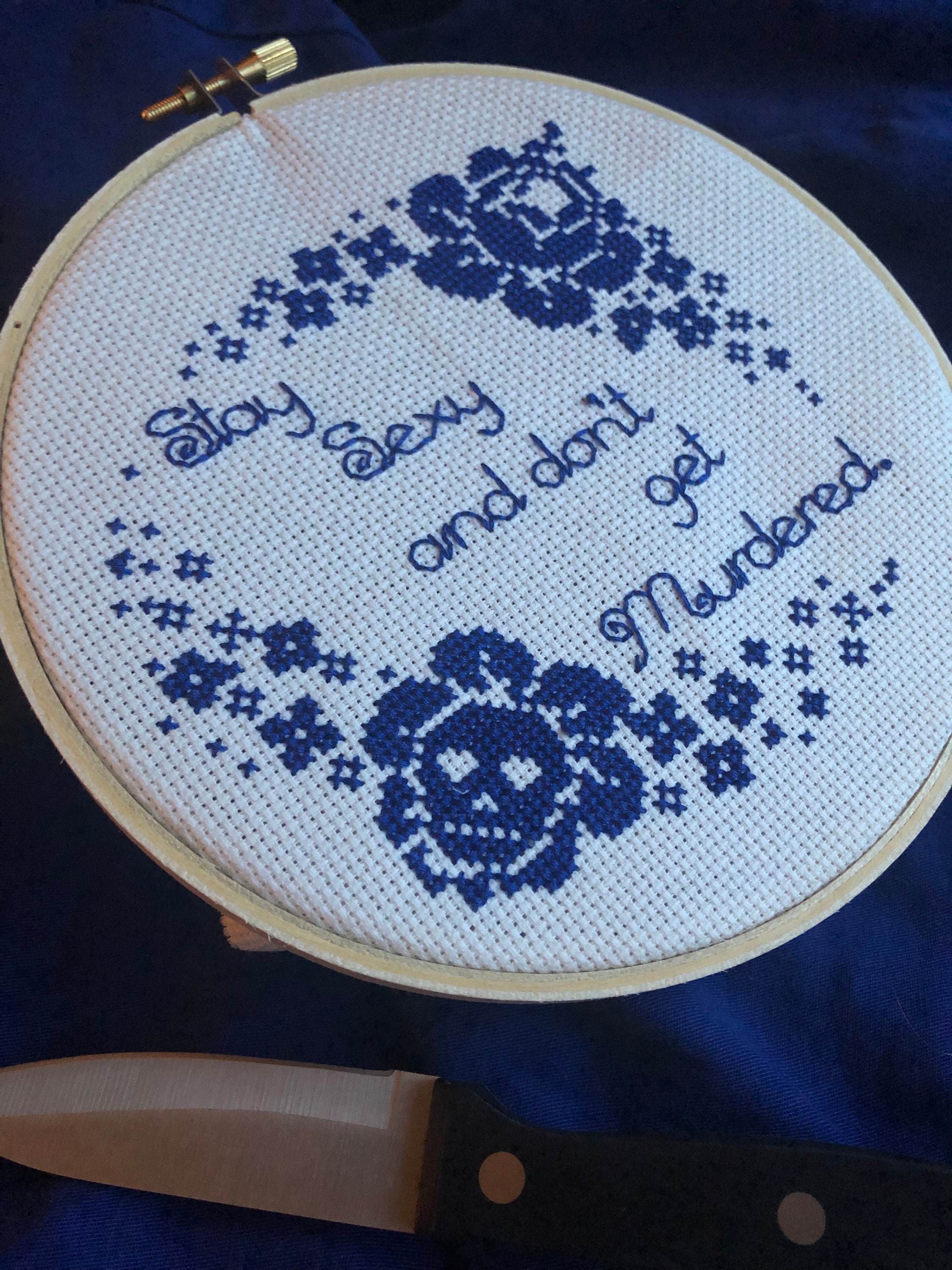 Stay Sexy Don't Get Murdered. Starter Cross Stitch Kit for