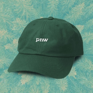 PNW Vintage Dad Hut grün - The Pacific Northwest Hut - Northwest Dad Cap - Oregon Retro Hut - Washington Vintage Style grüne Baseballmütze