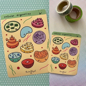 Simpatico foglio adesivo Organelles Planner