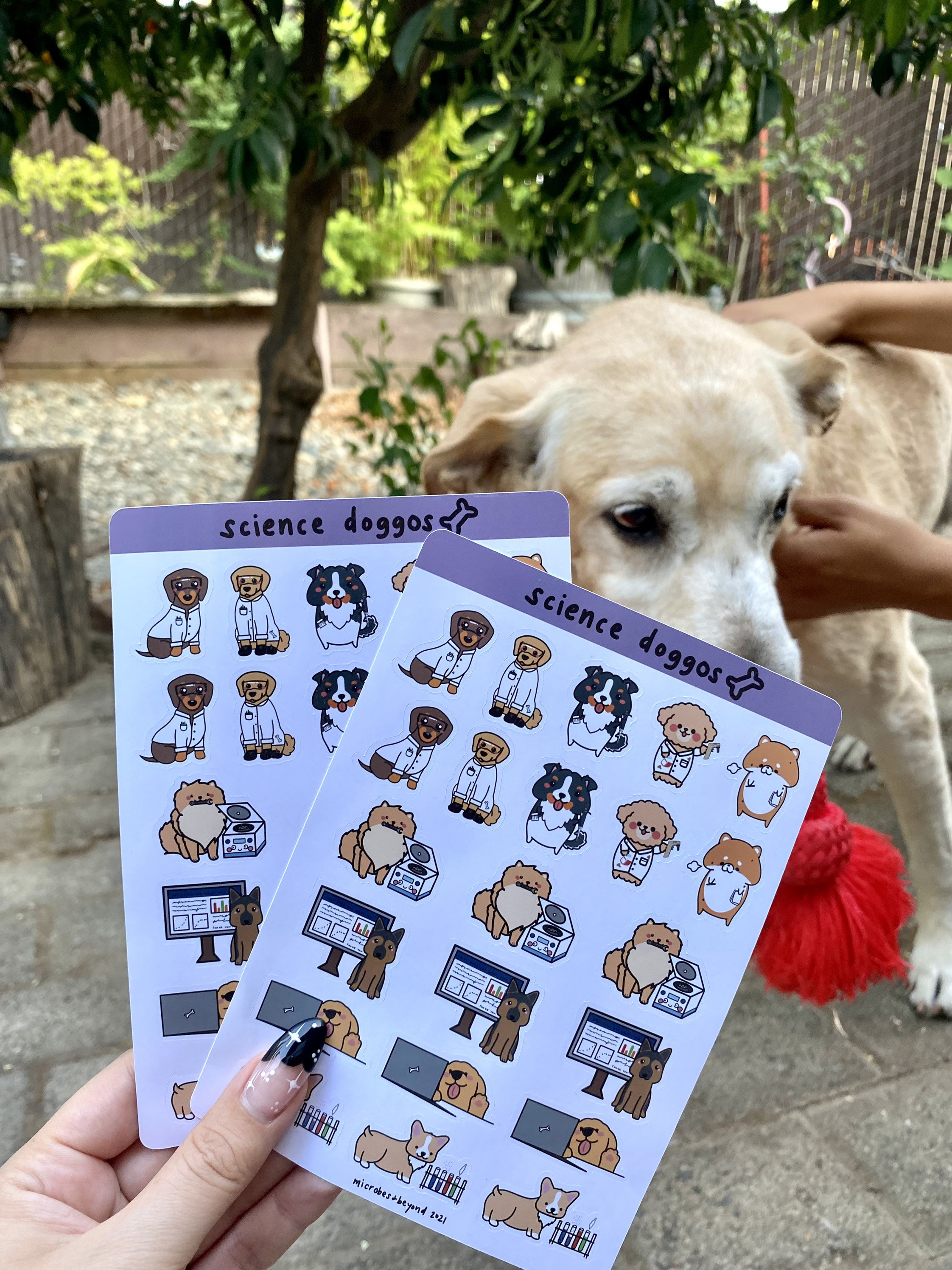 Science Dog Stickers Cute Science Dogs Sticker Sheet kawaii doggos stickers | Etsy