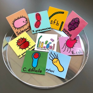 Süße Fett Bakterien dekorative Magnet Set