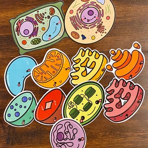 Cute Cells and Organelles Sticker set