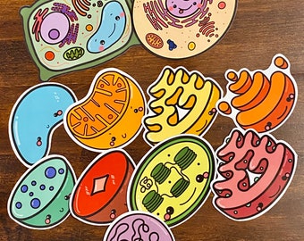 Cute Cells and Organelles Sticker set