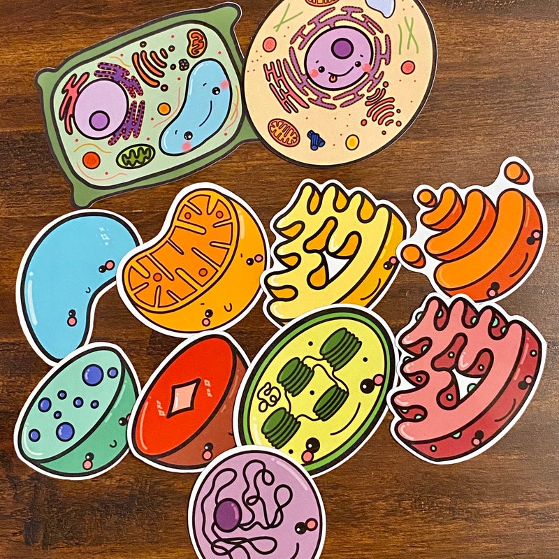 Science Cell Decal - Etsy UK