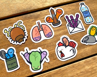 Bacterial Infections and Disease Sticker Set