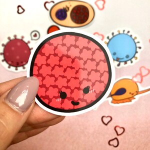 May include: A red and white cartoon sticker of a red blood cell with a cute face. The sticker has a white outline and is surrounded by hearts.