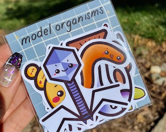 Cute Model Organisms Decorative Magnet Set