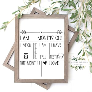 Maandelijks mijlpaalbord | Sjabloon babystatistieken | Baby mijlpaal-SVG