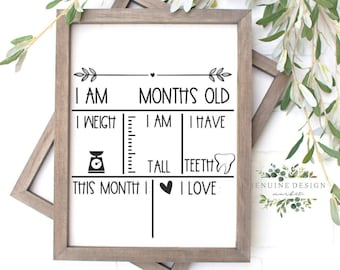 Monthly Milestone Sign | Baby Stats Template | Baby Milestone SVG