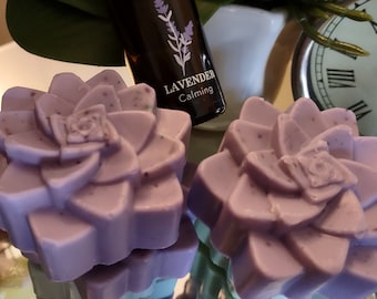 Succulent Soap Bar | Handmade Decorative Accent for Mother's Day