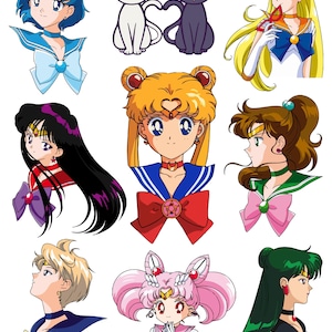Sailor Moon Resin Inserts In Color, Sailor Moon Inserts, Colored Resin Inserts, Resin sheet