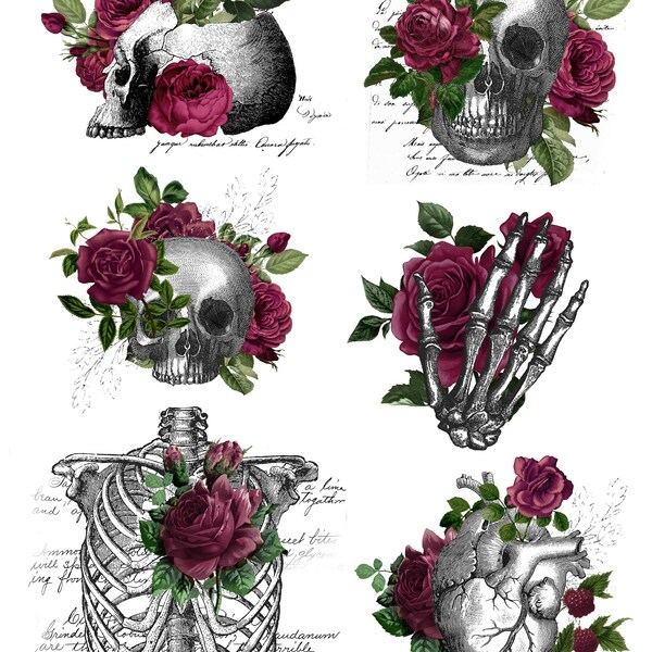 Floral Skull Resin Inserts In Color, Skull Resin Inserts, Colored Resin Inserts, Resin sheet
