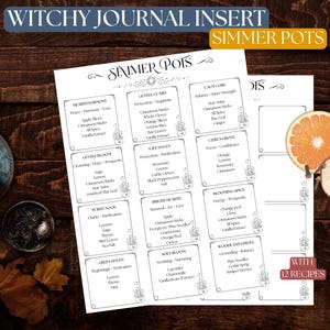 Simmer Pot Page for Book of Shadows  ~ Grimoire ~ SIMMER POTS