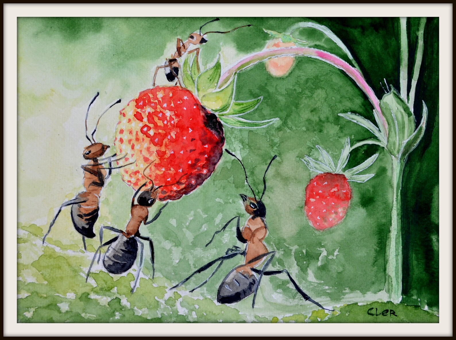 ORIGINAL watercolor painting Ants unique gift. Etsy