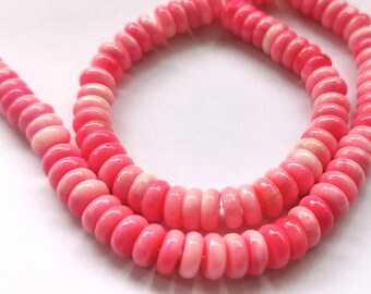 Conch Shell Buttons - Etsy