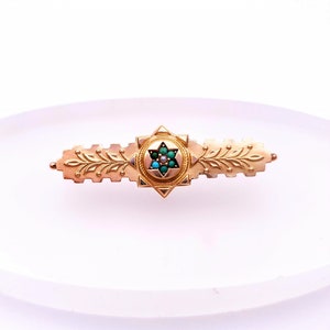 Pu&ograve; includere: Un fermaglio dorato con un design a forma di stella incastonato con turchese e pietre simili a perle.