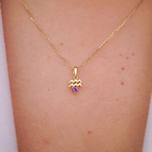 10K Solid Gold Aquarius Charm with Amethyst, February Birthstone Pendant Necklace, Aquarius Necklace, Dainty Gold Necklace, Aquarius Pendant