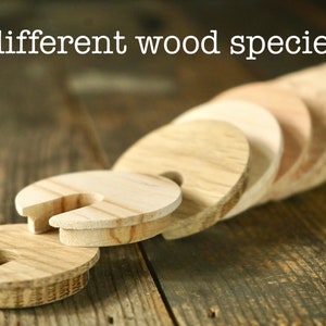 Op de afbeelding: Tien verschillende houtsoorten worden getoond als ronde houten schijven met een uitgesneden vorm in het midden. De schijven zijn op elkaar gestapeld en zijn gerangschikt in een rij op een houten oppervlak.