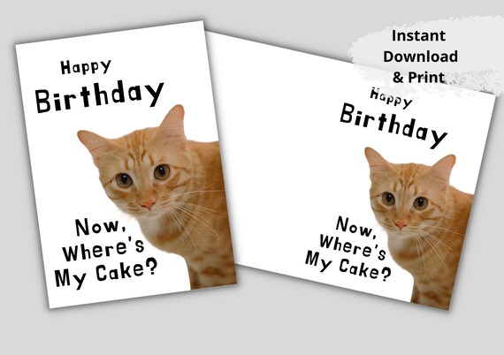 Printable Happy Birthday Funny Card With Cat. Happy Birthday - Etsy