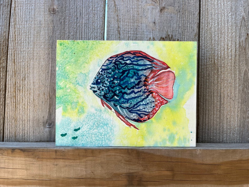Discus Fish Watercolor Art: Boho Wall Decor, Aquarium King - Etsy