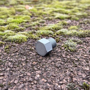 Op de afbeelding: Een kleine, zilverkleurige bout met een zeskantige kop en schroefdraad. De bout ligt op een getextureerd, donkerbruin oppervlak bedekt met groene mosvlekken.