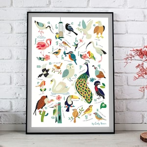 Impresión de arte de aves, impresión de alfabeto, decorativa, moderna, ilustración, decoración contemporánea