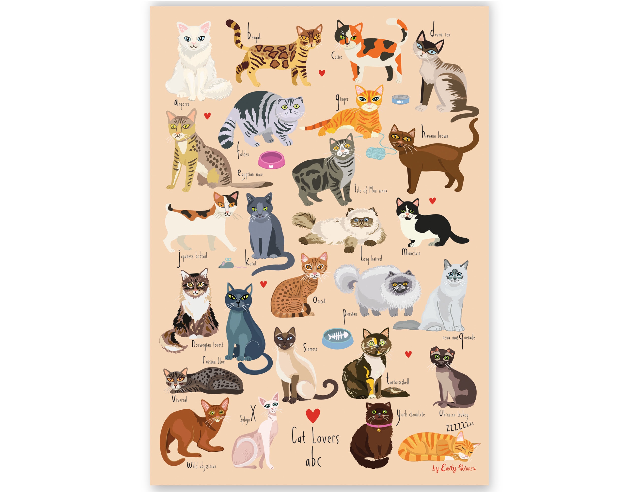 Print Az Cat Alphabet Art Print: A-Z Cat Breeds Illustration (digital Download ...