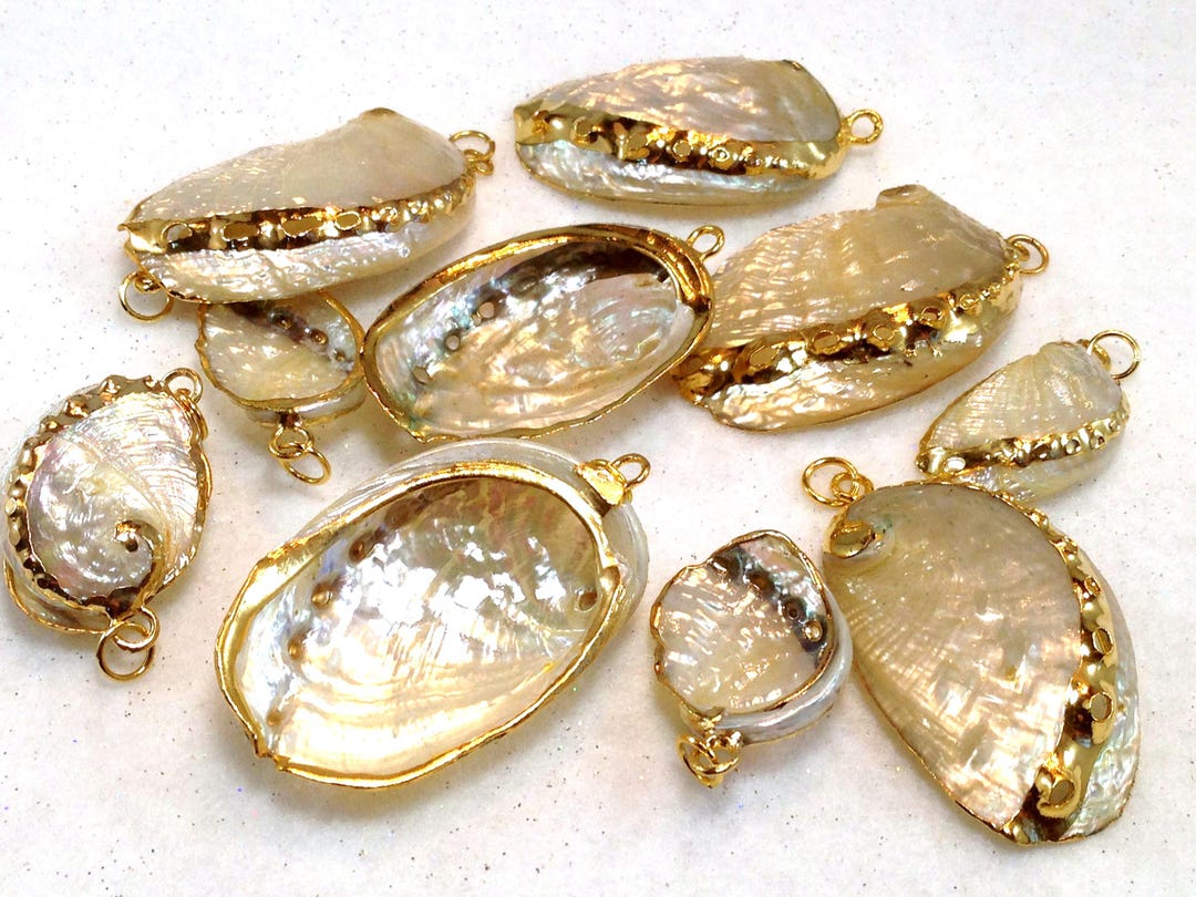 24K Gold Plated #2 Seashell Charms - Etsy