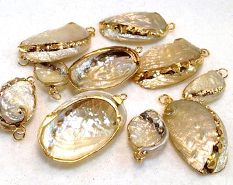 Dijes de concha marina n.° 2 chapados en oro de 24 quilates