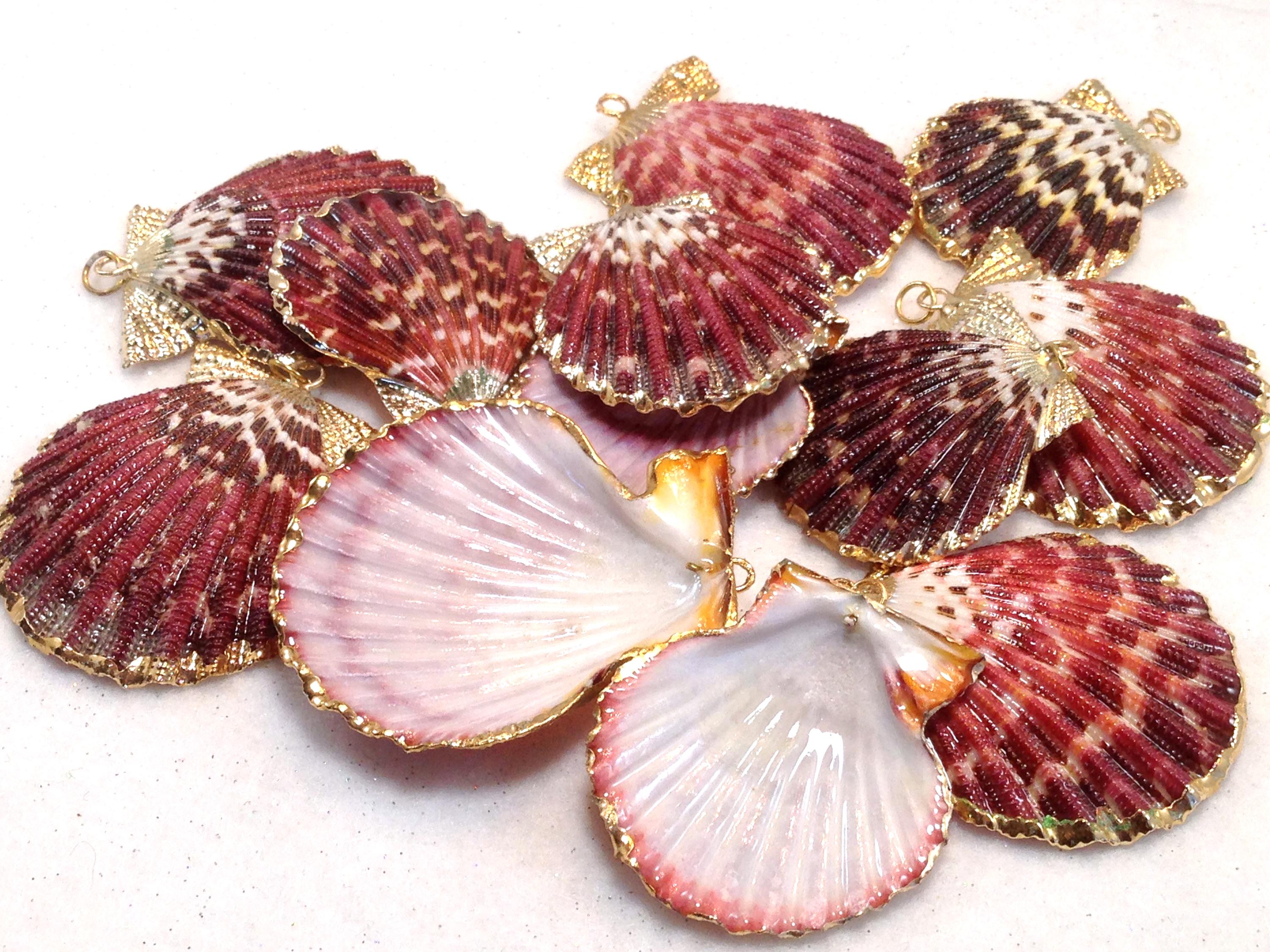 24K Gold Plated Seashell Charms - Etsy