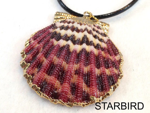 24k Gold Plated Seashell Pendant Necklace - image 7