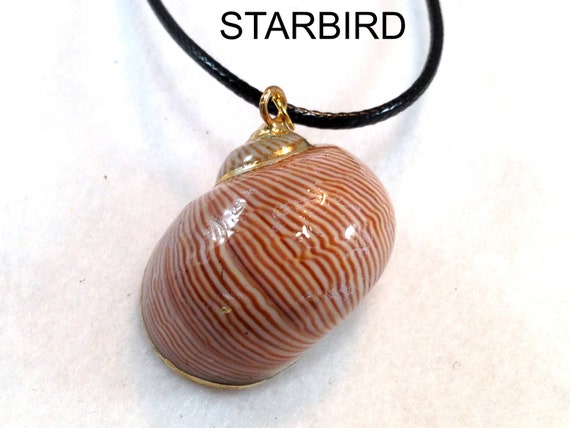 24k Gold Plated Seashell Pendant Necklace - image 10